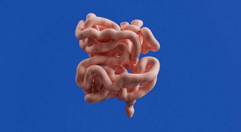 Quick Gut Relief with Probiotics: Why Fermented Foods Matter More Than Ever