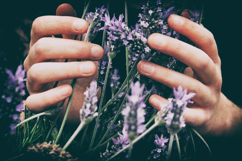 Ingredients Commonly Found in Relaxation Products